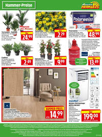Edeka Herkules Prospekt woche 23 Seite 16