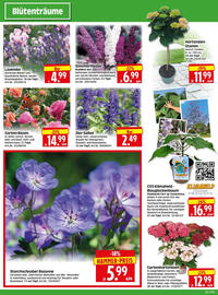 Edeka Herkules Prospekt woche 23 Seite 2