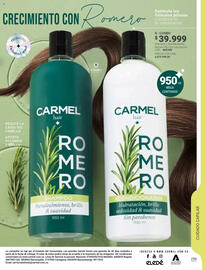 Catálogo Carmel Página 161