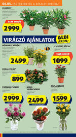 ALDI akciós újság hét 23 Oldal 28