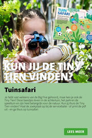 Intratuin folder week 23 Pagina 12