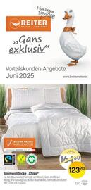 Reiter Flugblatt Seite 1