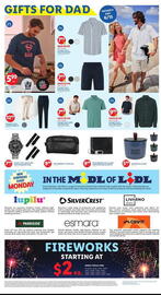 Lidl Weekly Ad week 22 Page 4