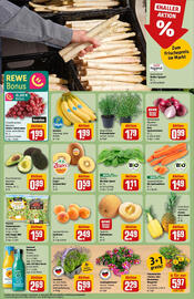 REWE Prospekt woche 23 Seite 10