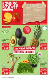 Kaufland DE folder week 23 Pagina 21