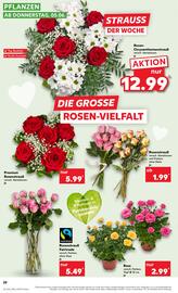 Kaufland DE folder week 23 Pagina 22