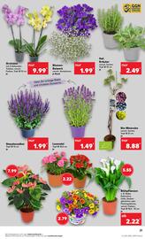 Kaufland DE folder week 23 Pagina 23