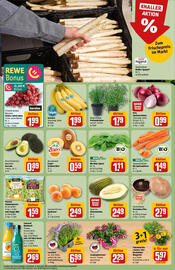 REWE Prospekt woche 23 Seite 10