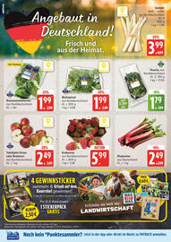 Edeka Prospekt woche 23 Seite 8