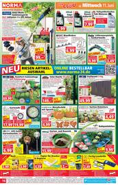 Norma Flugblatt woche 24 Seite 16