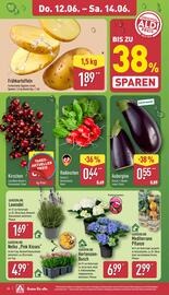 Aldi Nord Prospekt Seite 26