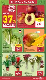 Aldi Nord Prospekt Seite 3