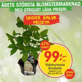 EKO reklamblad vecka 23 Sida 7