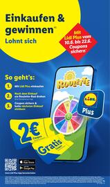 Lidl Prospekt Seite 25