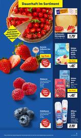 Lidl Prospekt Seite 5