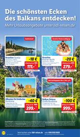 Lidl Prospekt Seite 66
