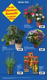 Lidl Prospekt Seite 9