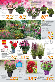 Globus Baumarkt Prospekt Seite 7