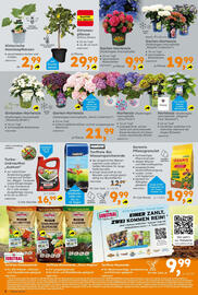 Globus Baumarkt Prospekt Seite 8