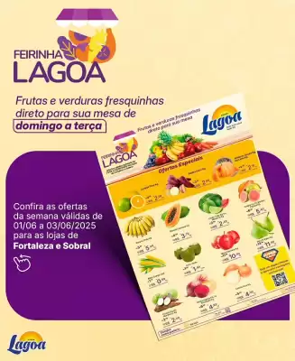 Catálogo Super Lagoa