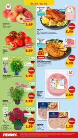 PENNY Prospekt woche 23 Seite 34