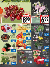 EDEKA Hahner Prospekt Seite 5