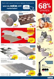 ROLLER Prospekt woche 23 Seite 13