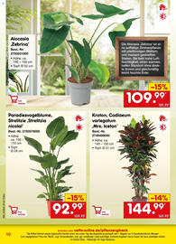 Netto Marken-Discount Prospekt Seite 10