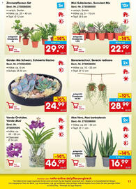 Netto Marken-Discount Prospekt Seite 11