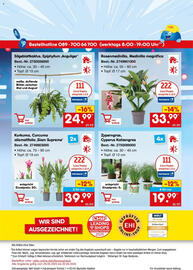 Netto Marken-Discount Prospekt Seite 12