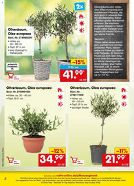 Netto Marken-Discount Prospekt Seite 2