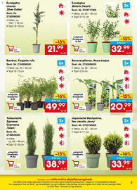 Netto Marken-Discount Prospekt Seite 3