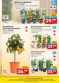 Netto Marken-Discount Prospekt Seite 4