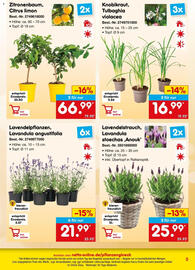 Netto Marken-Discount Prospekt Seite 5