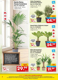Netto Marken-Discount Prospekt Seite 6
