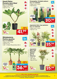 Netto Marken-Discount Prospekt Seite 7