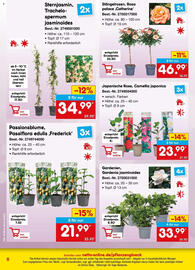 Netto Marken-Discount Prospekt Seite 8