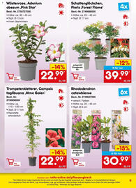 Netto Marken-Discount Prospekt Seite 9
