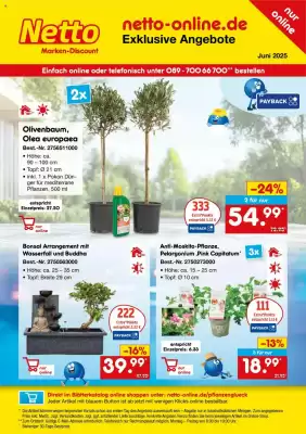 Netto Marken-Discount Prospekt (gültig bis 30-06)