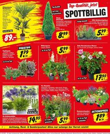 Repo Markt Prospekt woche 23 Seite 2