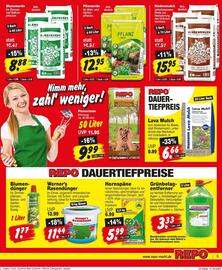 Repo Markt Prospekt woche 23 Seite 3