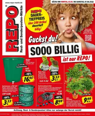 Repo Markt Prospekt (gültig bis 7-06)