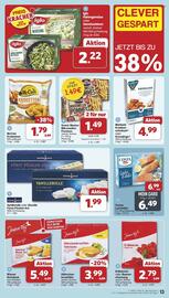 Famila Nord Ost Prospekt woche 23 Seite 15