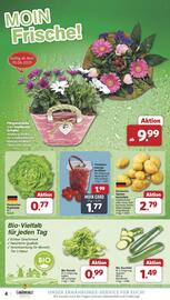 Famila Nord Ost Prospekt woche 23 Seite 5