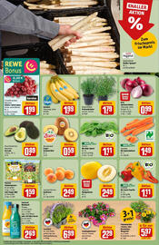 REWE Prospekt woche 23 Seite 16