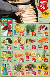 REWE Prospekt woche 23 Seite 10