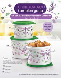 Catálogo Tupperware Página 3