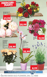 Catalog Kaufland săptămâna 23 Pagină 26