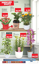 Catalog Kaufland săptămâna 23 Pagină 27