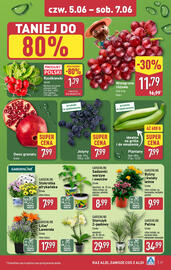 ALDI gazetka Strona 29